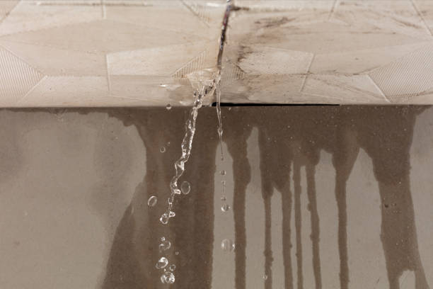 Professional Water Damage Repair technician working in Haskins, OH